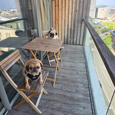 Benji & Milos Apartments Белфаст Экстерьер фото